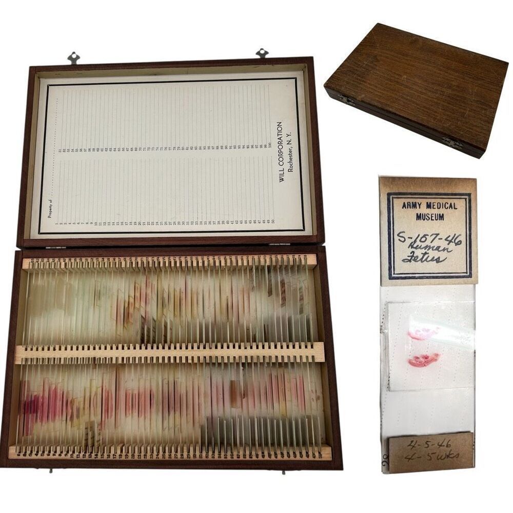 Vintage 1940s U.S. Army Medical Museum Pathology Slide Collection w/ Wood Case